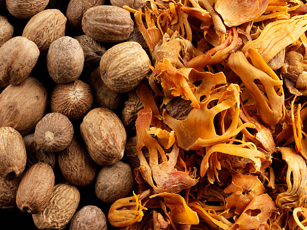 Macis de muscade de Madagascar – Image 3